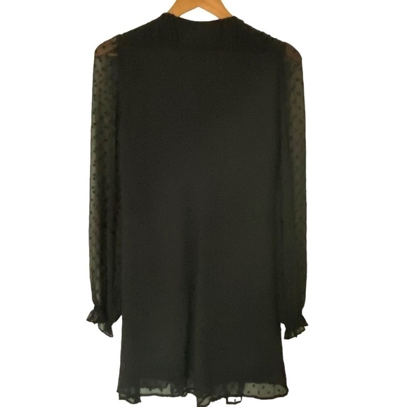 Zara Pleated Black Swiss Dot Sheer Mini Dress, Size X-Small - Picture 3 of 13